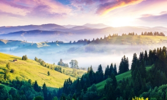 Aut provident in dolorem