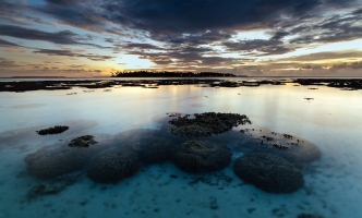 Dignissimos sunt cum